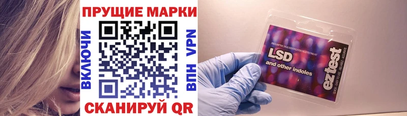 Марки N-bome 1,8мг  наркота  Новоузенск 
