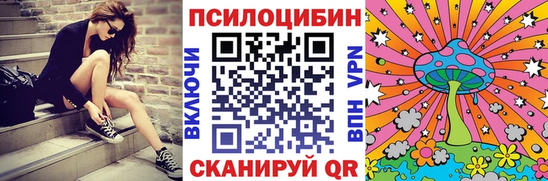 Псилоцибиновые грибы прущие грибы продажа наркотиков Новоузенск